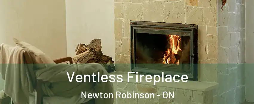  Ventless Fireplace Newton Robinson - ON