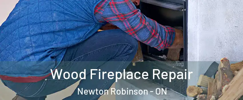  Wood Fireplace Repair Newton Robinson - ON