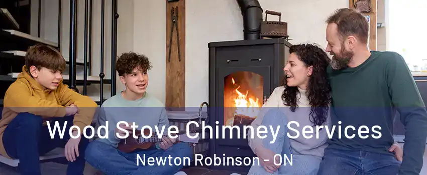  Wood Stove Chimney Services Newton Robinson - ON