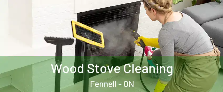 Wood Stove Cleaning Fennell - ON
