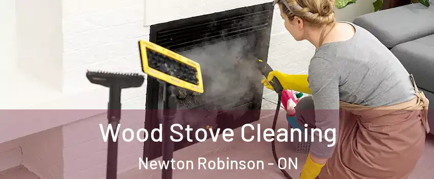  Wood Stove Cleaning Newton Robinson - ON