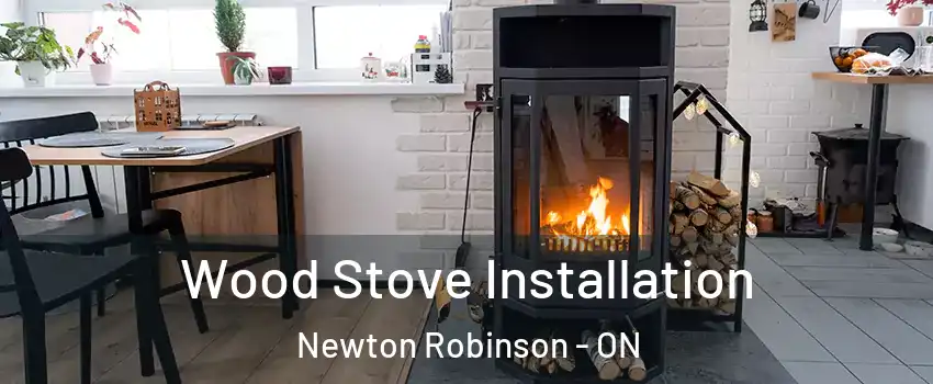  Wood Stove Installation Newton Robinson - ON